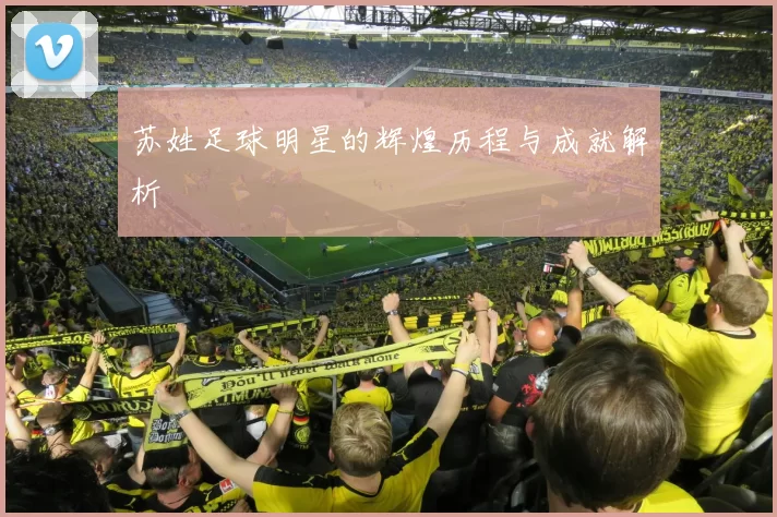 苏姓足球明星的辉煌历程与成就解析